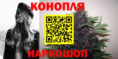 прущие грибы Северобайкальск
