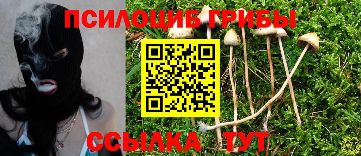 Галлюциногенные грибы GOLDEN TEACHER  Вход с VPN  Обнинск 